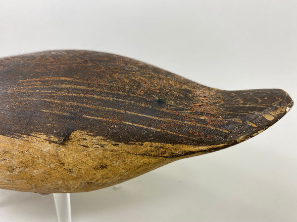 Woodward's Tule Lake Widgeon Hen, Stamped (#6504)