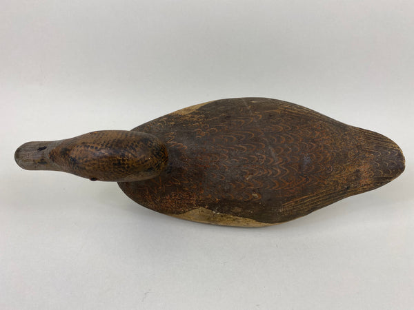 Woodward's Tule Lake Widgeon Hen, Stamped (#6504)