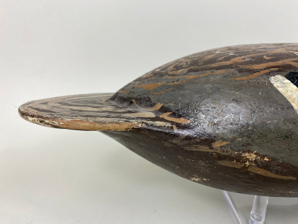 Isaac Bush Mallard Hen (#6513)