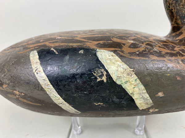 Isaac Bush Mallard Hen (#6513)