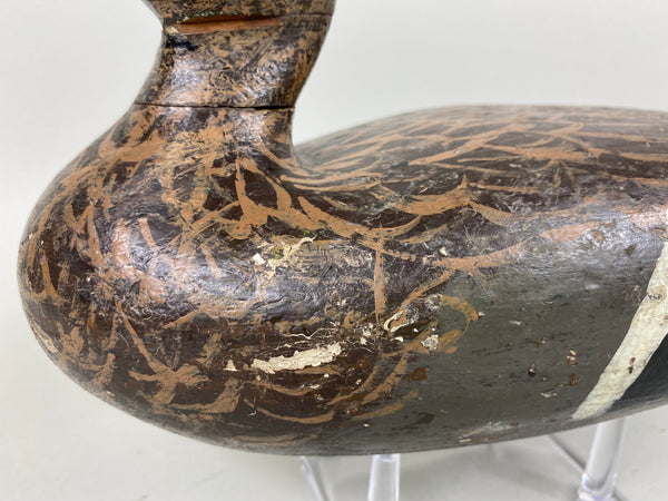 Isaac Bush Mallard Hen (#6513)