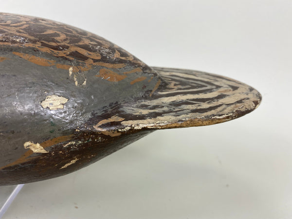 Isaac Bush Mallard Hen (#6513)