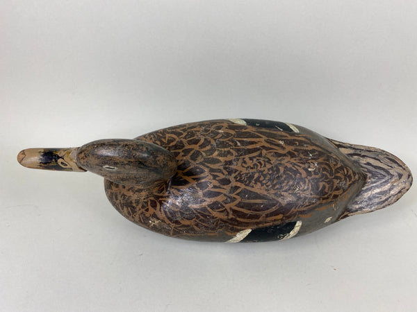 Isaac Bush Mallard Hen (#6513)
