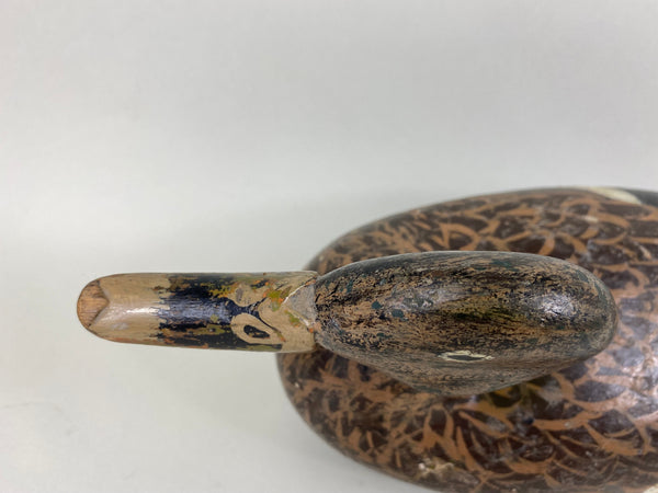 Isaac Bush Mallard Hen (#6513)