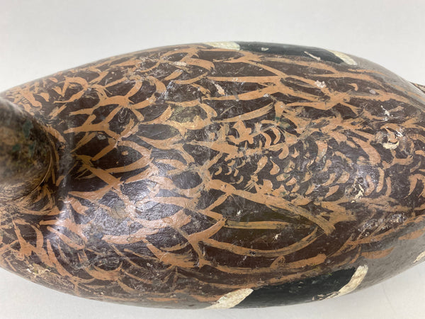 Isaac Bush Mallard Hen (#6513)