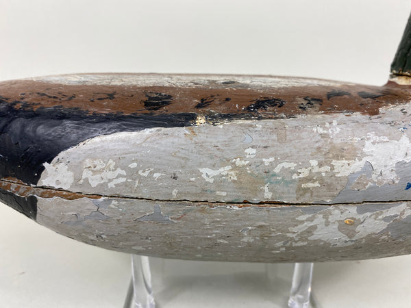 Illinois River Mallard Drake Unknown (#6514)