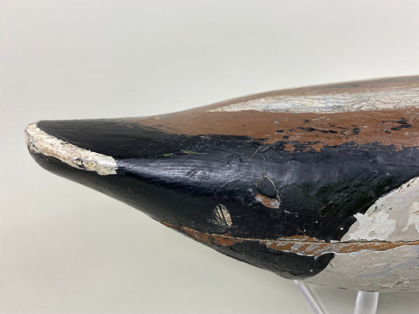 Illinois River Mallard Drake Unknown (#6514)