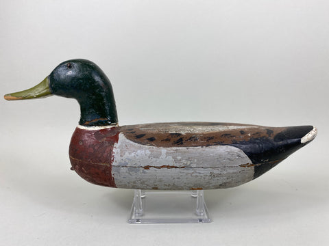 Illinois River Mallard Drake Unknown (#6514)