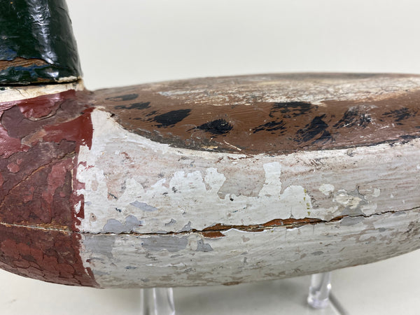 Illinois River Mallard Drake Unknown (#6514)