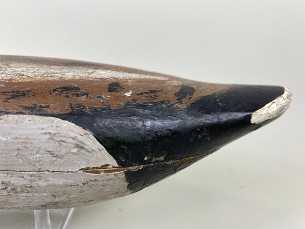 Illinois River Mallard Drake Unknown (#6514)