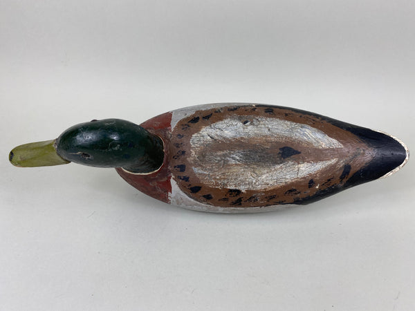 Illinois River Mallard Drake Unknown (#6514)