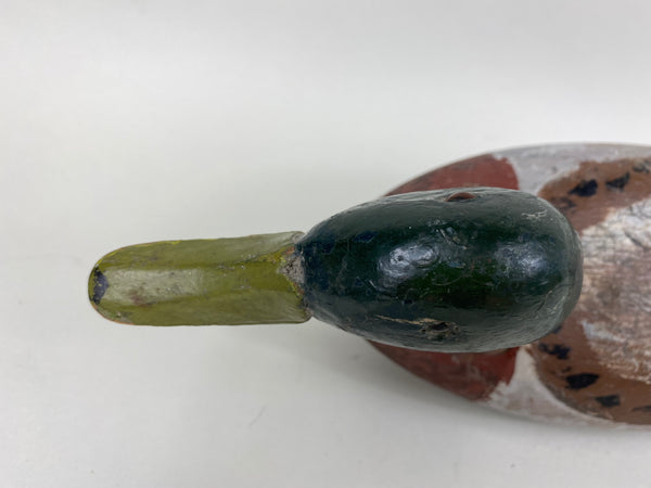 Illinois River Mallard Drake Unknown (#6514)