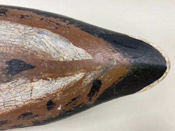 Illinois River Mallard Drake Unknown (#6514)