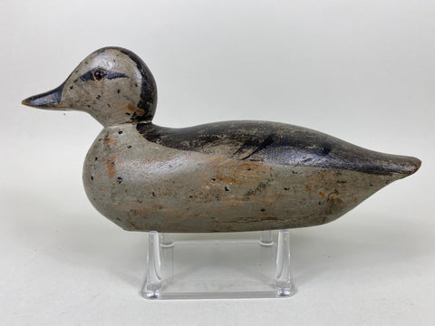 Pratt Blue Wing Teal Hen, Original (#6527)