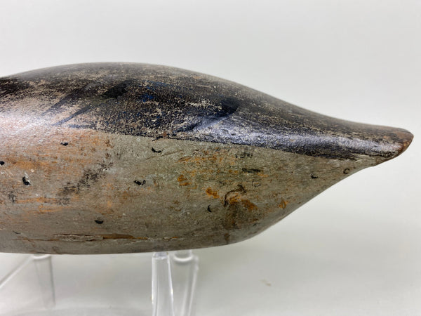 Pratt Blue Wing Teal Hen, Original (#6527)