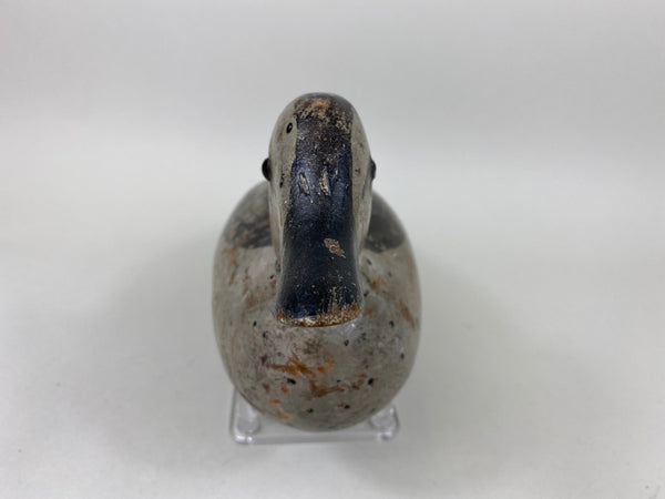 Pratt Blue Wing Teal Hen, Original (#6527)