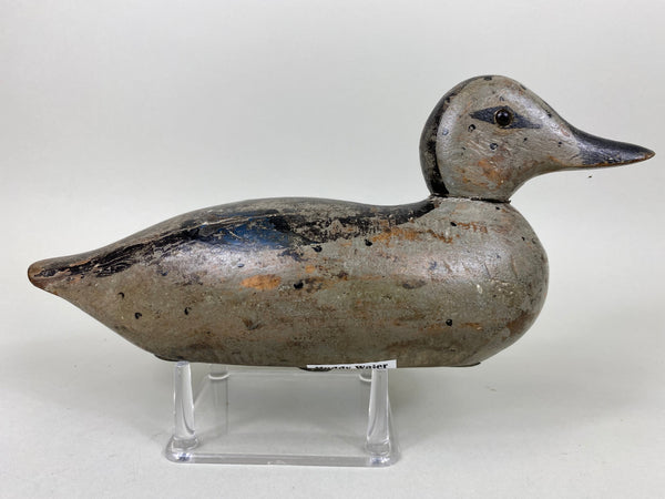 Pratt Blue Wing Teal Hen, Original (#6527)