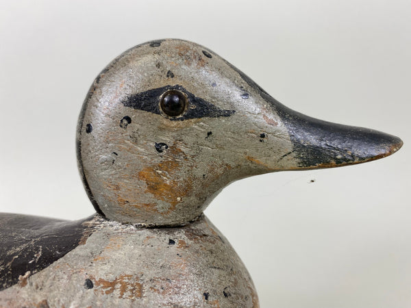 Pratt Blue Wing Teal Hen, Original (#6527)