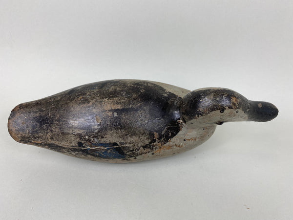 Pratt Blue Wing Teal Hen, Original (#6527)