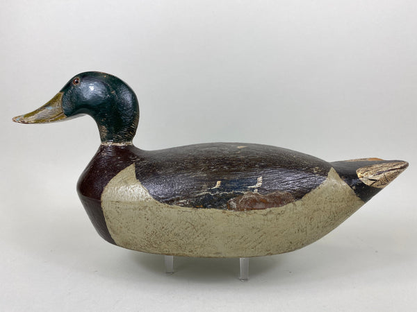 Mike Suhrada Mallard Drake (#6541)