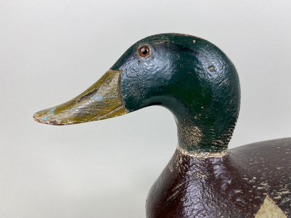 Mike Suhrada Mallard Drake (#6541)