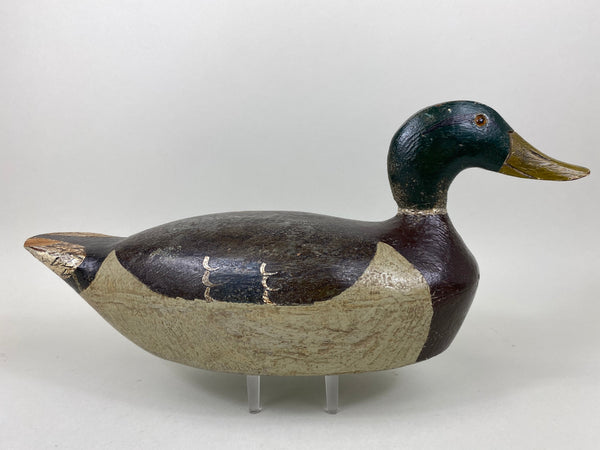 Mike Suhrada Mallard Drake (#6541)