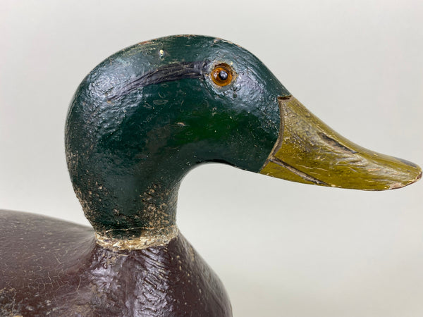 Mike Suhrada Mallard Drake (#6541)