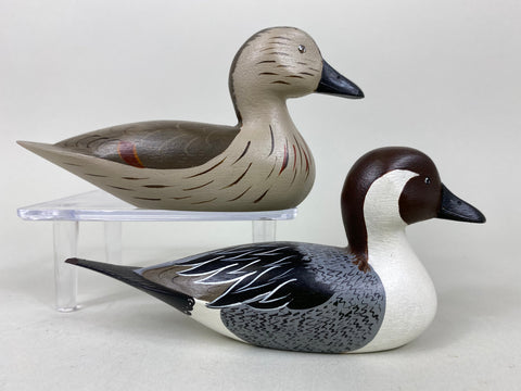 Earl Fox Pair of Miniature Pintails (#6546)