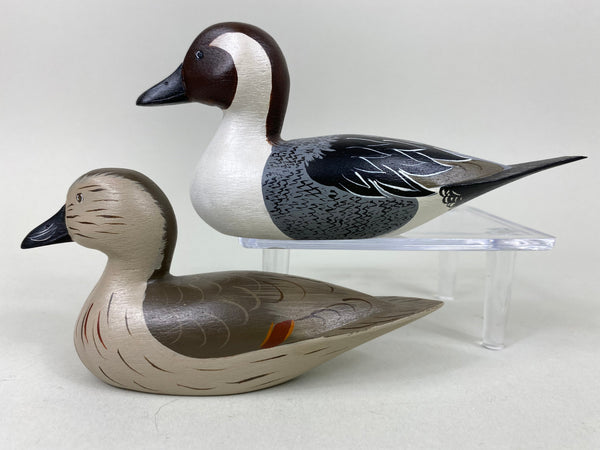 Earl Fox Pair of Miniature Pintails (#6546)