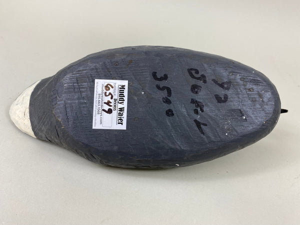 Louisiana Coot Original Paint (#6549)