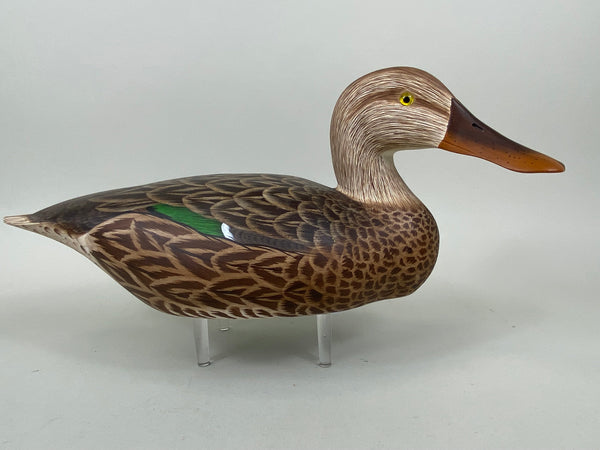 Ken Harris / Tom Ferguson Shoveler Hen (#6556)