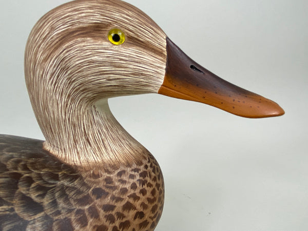 Ken Harris / Tom Ferguson Shoveler Hen (#6556)