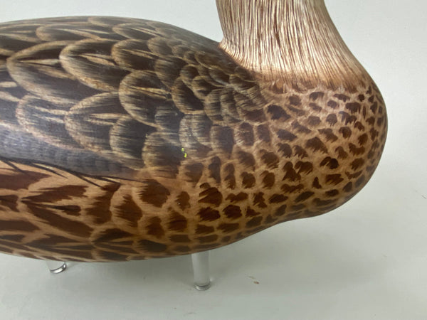 Ken Harris / Tom Ferguson Shoveler Hen (#6556)