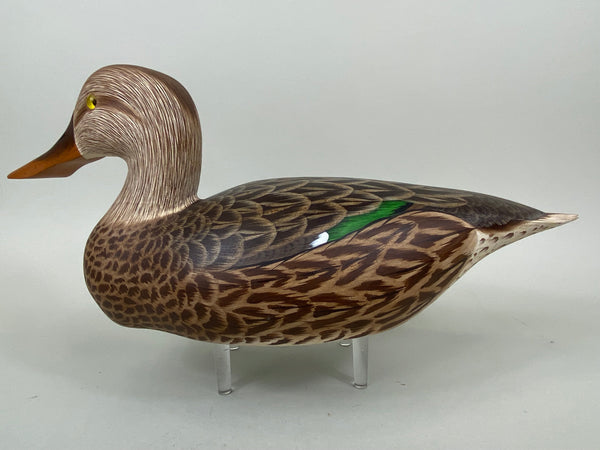 Ken Harris / Tom Ferguson Shoveler Hen (#6556)