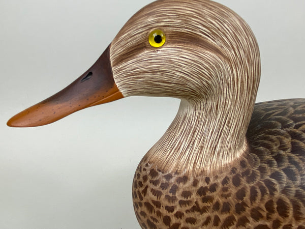 Ken Harris / Tom Ferguson Shoveler Hen (#6556)