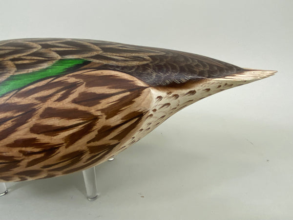 Ken Harris / Tom Ferguson Shoveler Hen (#6556)
