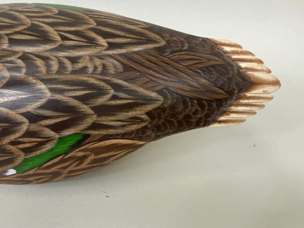 Ken Harris / Tom Ferguson Shoveler Hen (#6556)