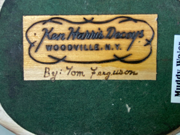 Ken Harris / Tom Ferguson Shoveler Hen (#6556)