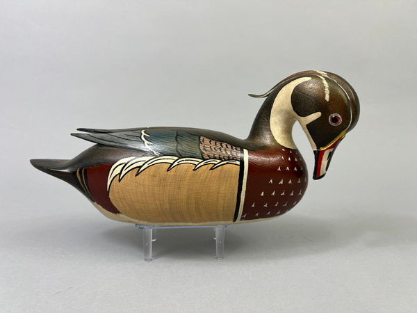 Virgil Hodge Wood Duck Raised Wings (#2909)