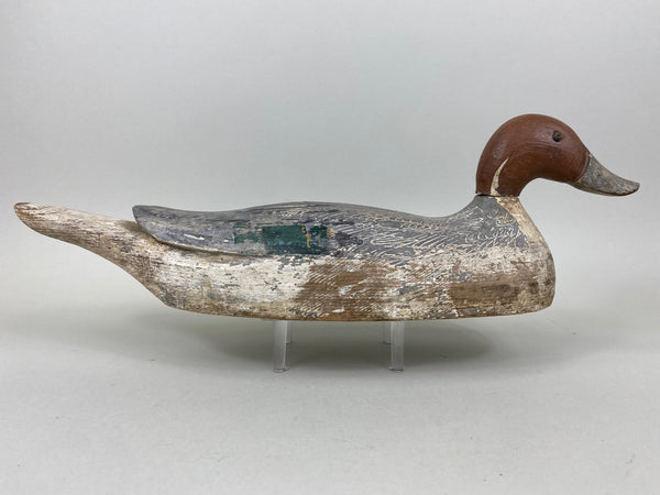 California Pintail Drake by John Cox Circa 1930's (#6559)