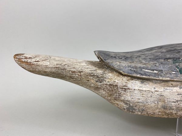 California Pintail Drake by John Cox Circa 1930's (#6559)