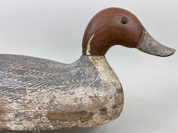 California Pintail Drake by John Cox Circa 1930's (#6559)