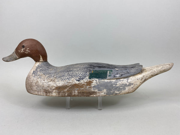 California Pintail Drake by John Cox Circa 1930's (#6559)