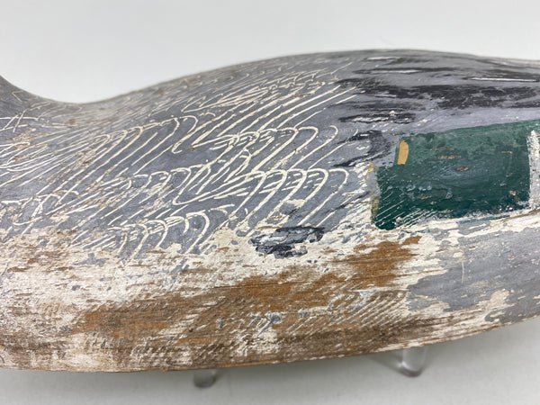 California Pintail Drake by John Cox Circa 1930's (#6559)