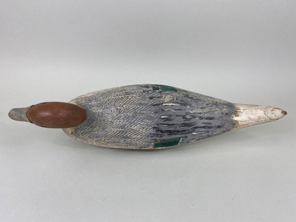 California Pintail Drake by John Cox Circa 1930's (#6559)