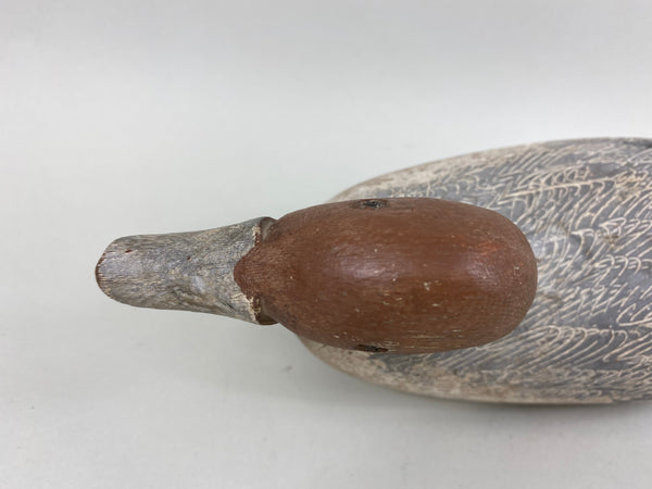 California Pintail Drake by John Cox Circa 1930's (#6559)