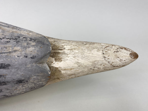 California Pintail Drake by John Cox Circa 1930's (#6559)