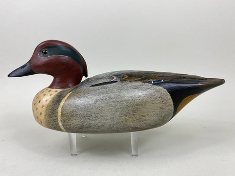 Robert A. Lewis Green Wing Teal (#6563)