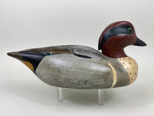 Robert A. Lewis Green Wing Teal (#6563)