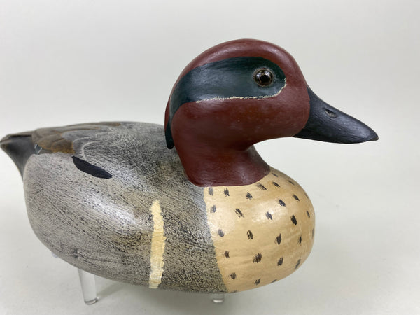 Robert A. Lewis Green Wing Teal (#6563)